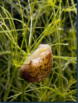 IMG_6804 IMG_6804