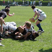 IMG_0508-20110520.JPG