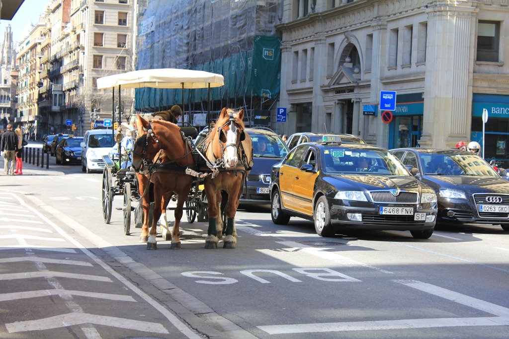 [IMG_3311%255B4%255D.jpg]