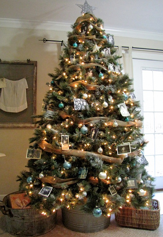 [tree%252015%255B10%255D.jpg]
