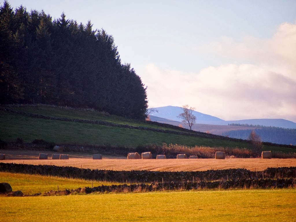 [26%2520Nov%25201%255B3%255D.jpg]