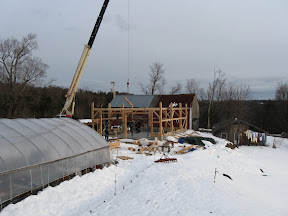 Floor joists are flown into place before the plates are added.