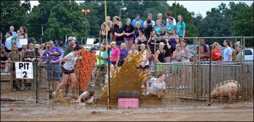 hog wrestling hog wrestling