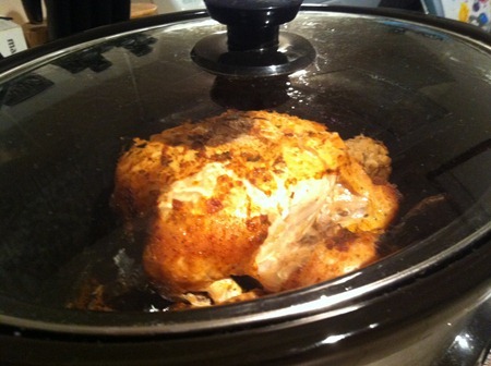 021 chook 2 021 chook 2