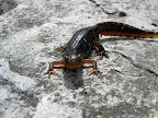 DSCN3767.JPG