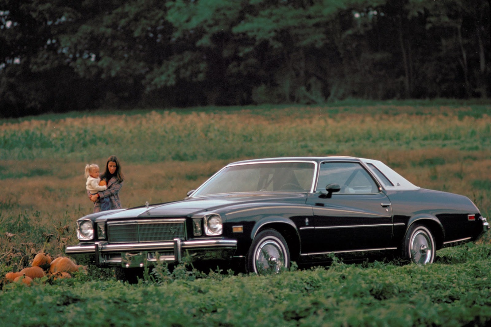 [1975BuickRegalCoupe2%255B2%255D.jpg]