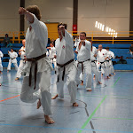 H25D2938.JPG