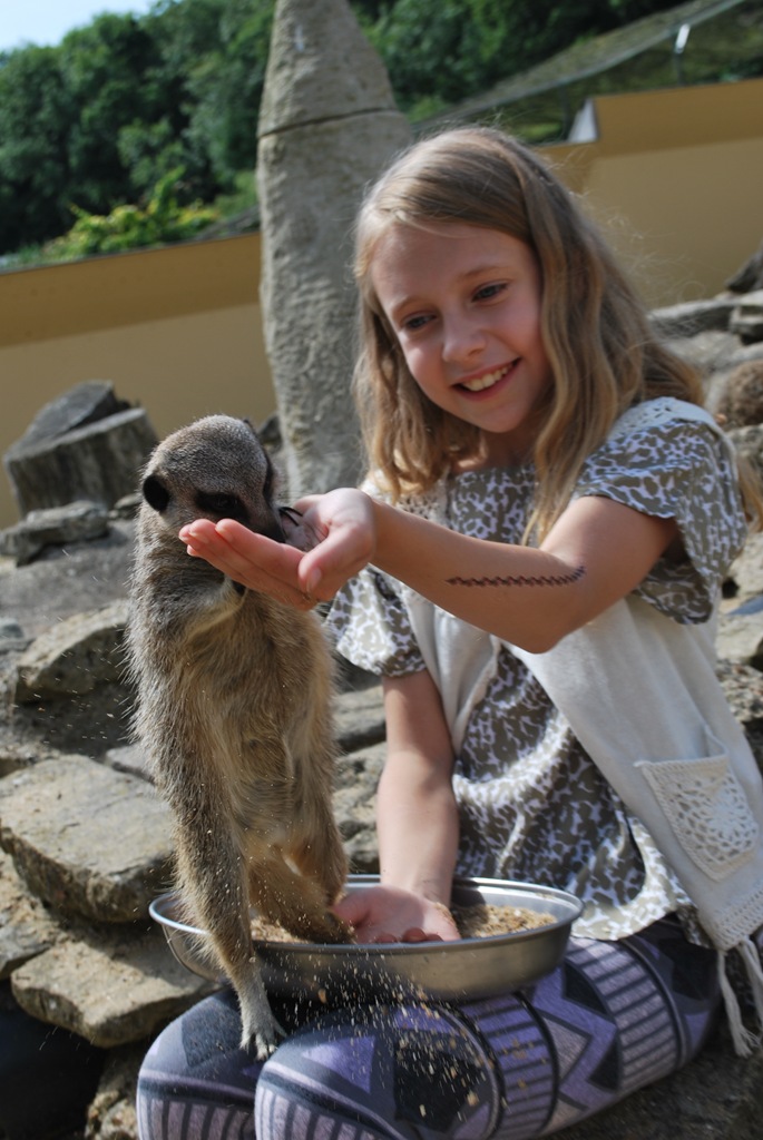 [DSC_0034%255B11%255D.jpg]