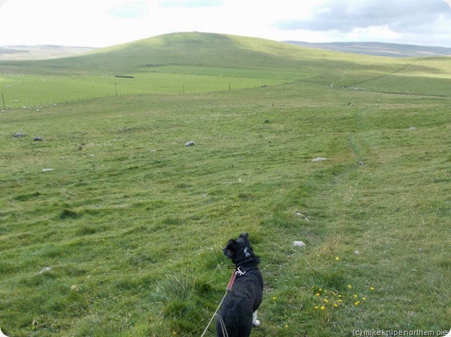 lucky spots great close hill lucky spots great close hill