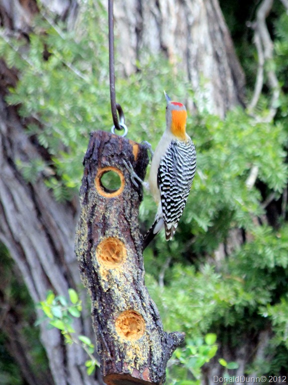 [IMG_2272P%255B6%255D.jpg]