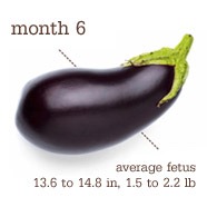 [Eggplant%2520-%2520Month%25206%255B3%255D.jpg]