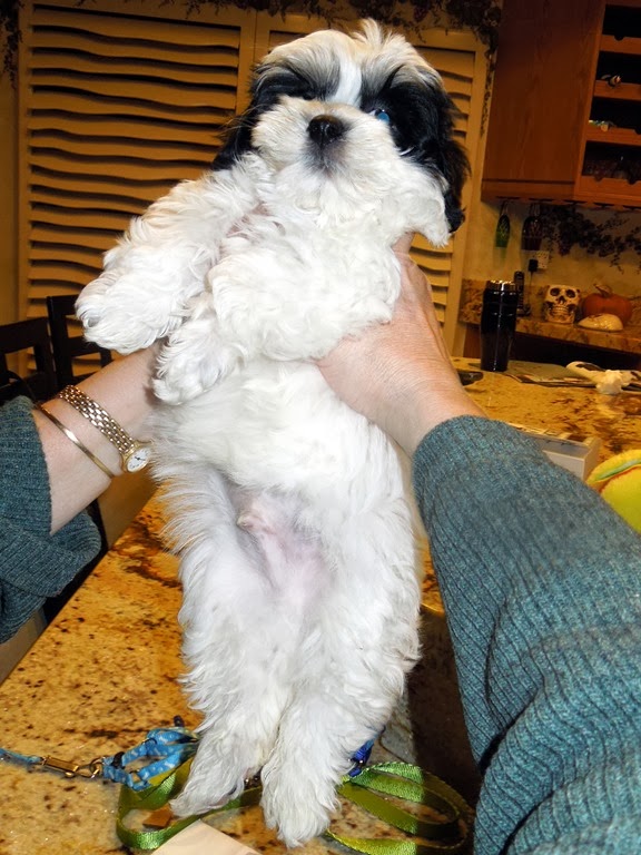 [DSCN8507%255B7%255D.jpg]