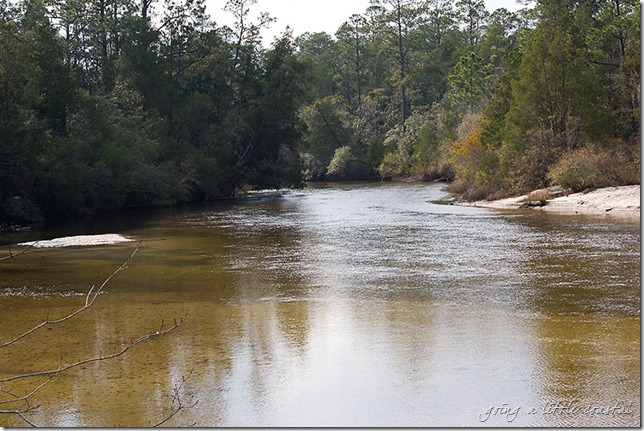 blackwater river2_edited-1