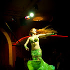 Document Name_3_109.JPG