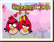 Angry Bird Seek Wife