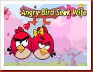Angry Bird Seek Wife Angry Bird Seek Wife