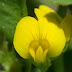 20100314_026