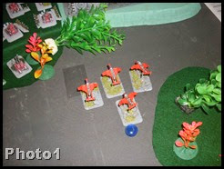 asdfadasdad 056 asdfadasdad 056