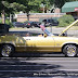 Car Show 1013.jpg
