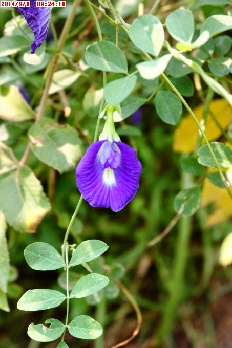 2014_0909_092410 2014_0909_092410