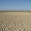 IMG_7357.JPG