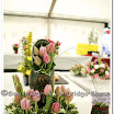 Horticulture 022.jpg
