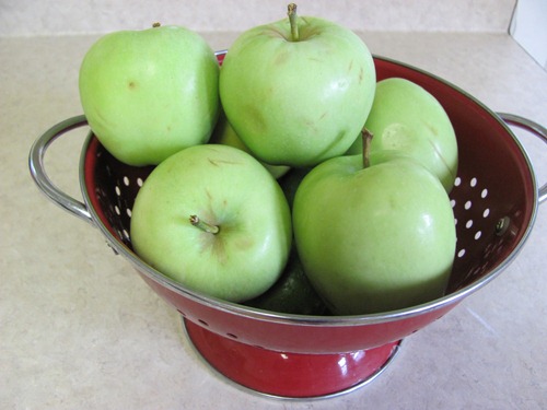 homemade apple sauce