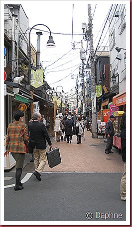 IMG_4072 IMG_4072
