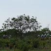 2EncontrodeMuladeiros-357.JPG