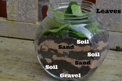 20 Spring Science Activities from Science Sparks 20 Spring Science Activities from Science Sparks
