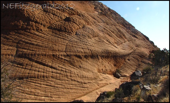 IMG_0729Elephant SkinTextureNavajo Sandstone
