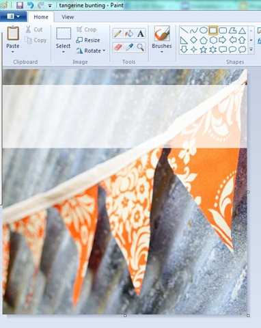 [Creating%2520a%2520Pinterest%2520Graphic%2520in%2520Paint%2520-%2520step%25204%255B3%255D.jpg]