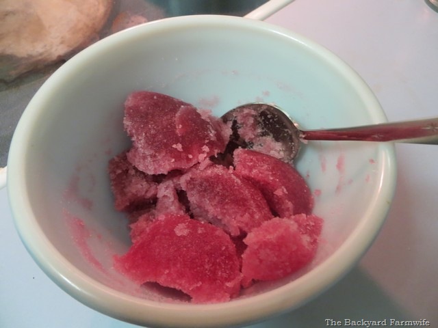 [cranberry%2520fruit%2520gels%252006%255B6%255D.jpg]