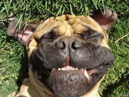 [pictures-of-happy-face1%255B2%255D.jpg]
