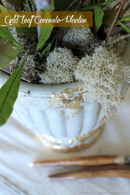 Gold Leaf Concrete Planter via homework | carolynshomework.com 