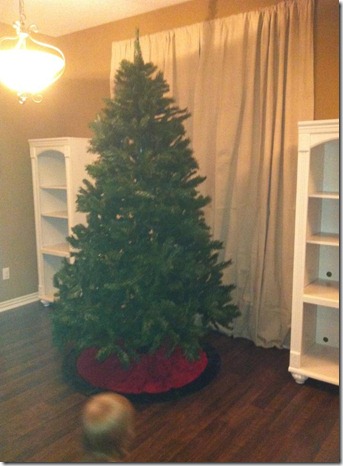 tree