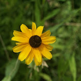 DSC09196.JPG