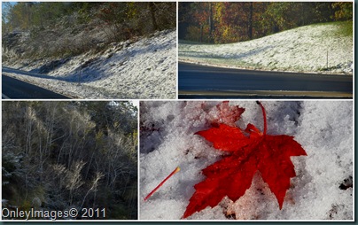 NH snow collage