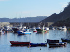 DSCN1634.JPG