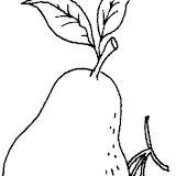 fruta4.jpg