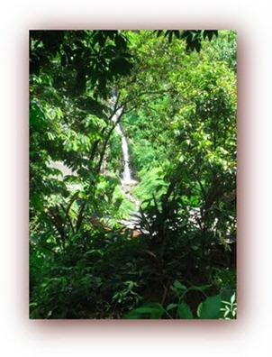 IMG_0299 IMG_0299