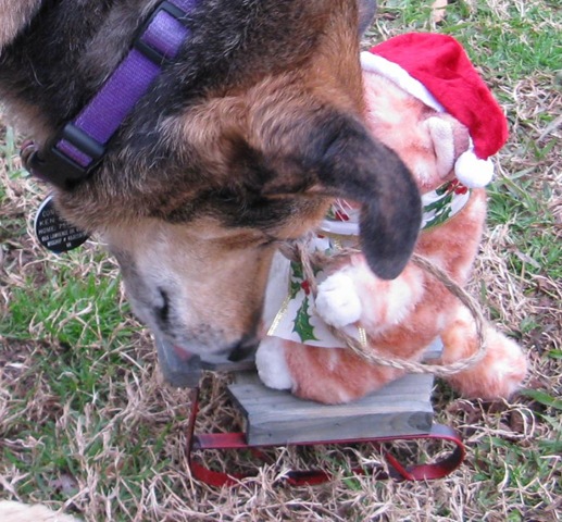 [IMG_8973CROPPED%255B2%255D.jpg]