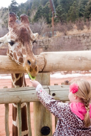 03 28 13_soph giraffe 6