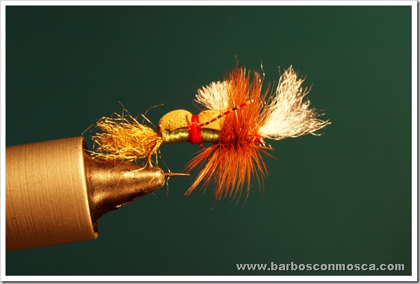 www.barbosconmosca.com