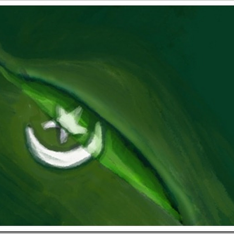 Best of the Pakistani Flag from the painting competition