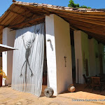 DSC_1003 - Copie.JPG