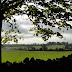 DSC03415.JPG
