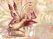 Red Fairy Butterfly