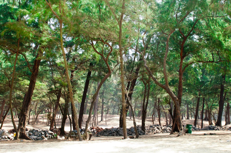 DSC_2034.jpg DSC 2034