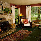 fireplace-livingroom-web.jpg
